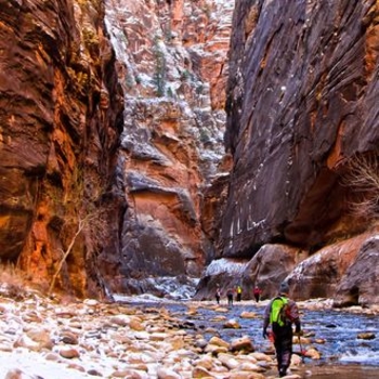 America Unlimited USA Zion National Park Foto Joe Newman